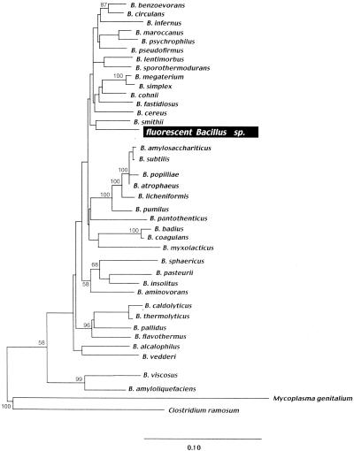 FIG. 2.