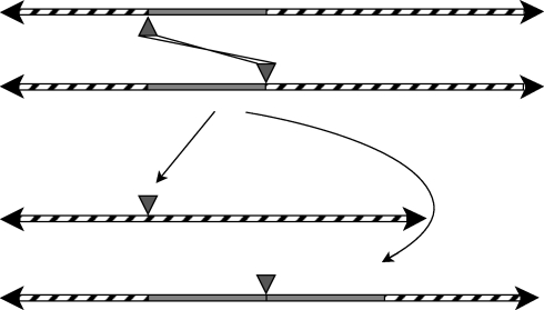 Figure 5.