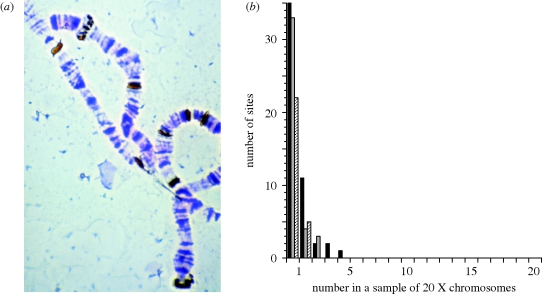 Figure 2.