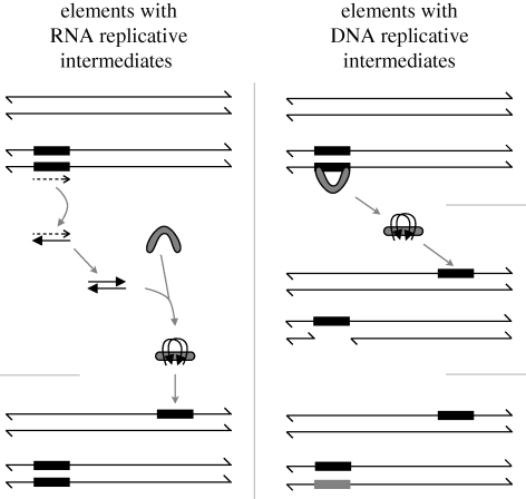 Figure 1.