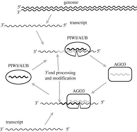 Figure 6.