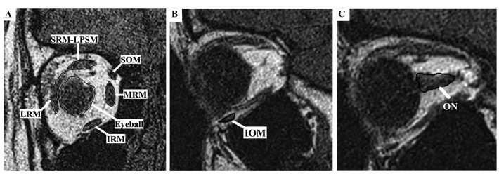 Figure 2.