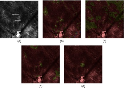 Fig. 4