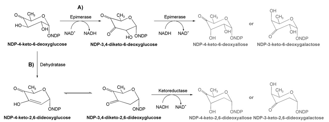 Scheme 2