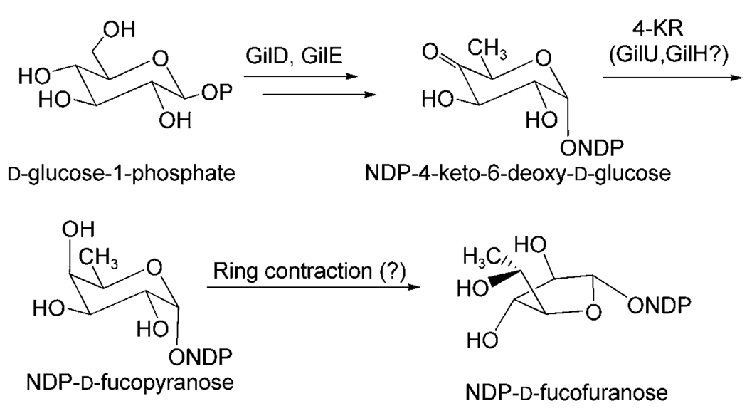 Scheme 1