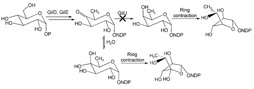 Scheme 3