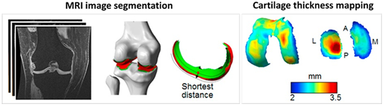 Figure 1: