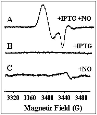 Fig 4.