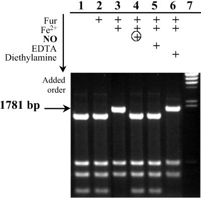 Fig 2.