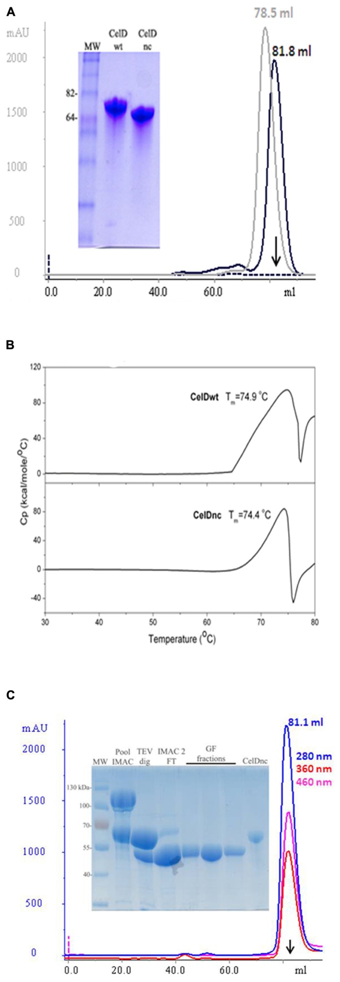 FIGURE 3