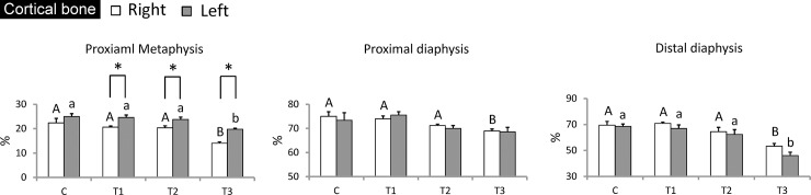 Fig 10