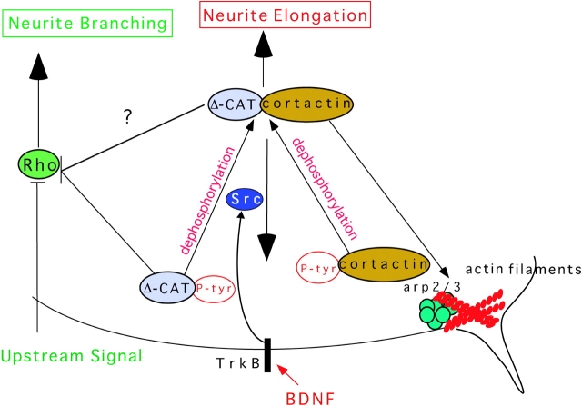 Figure 10. 