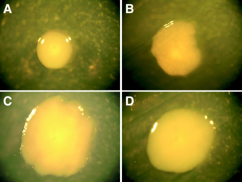 FIG. 5.