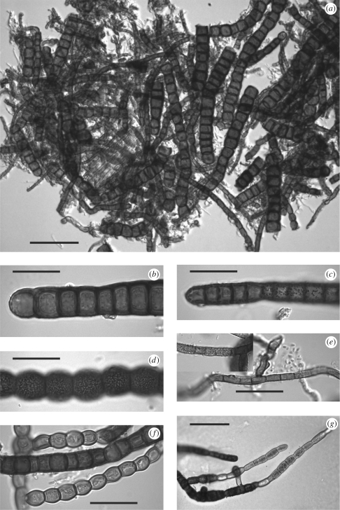 Figure 2.