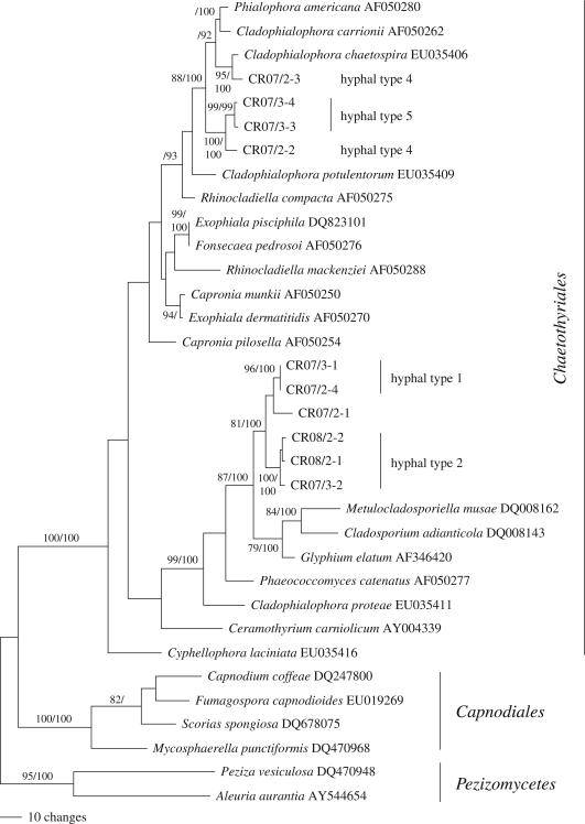 Figure 3.