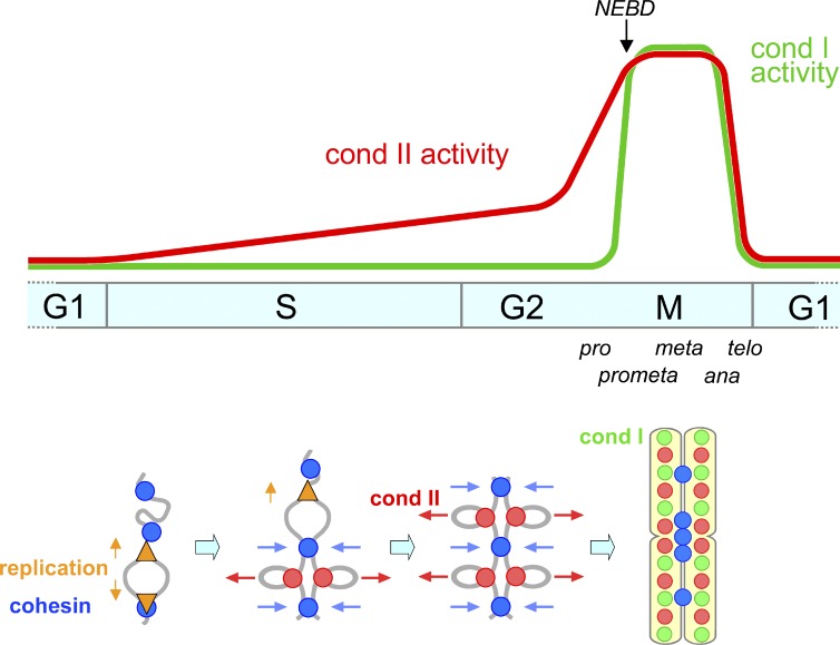 Figure 7.