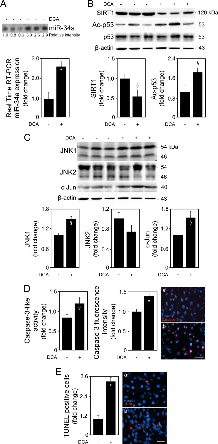 FIG 14