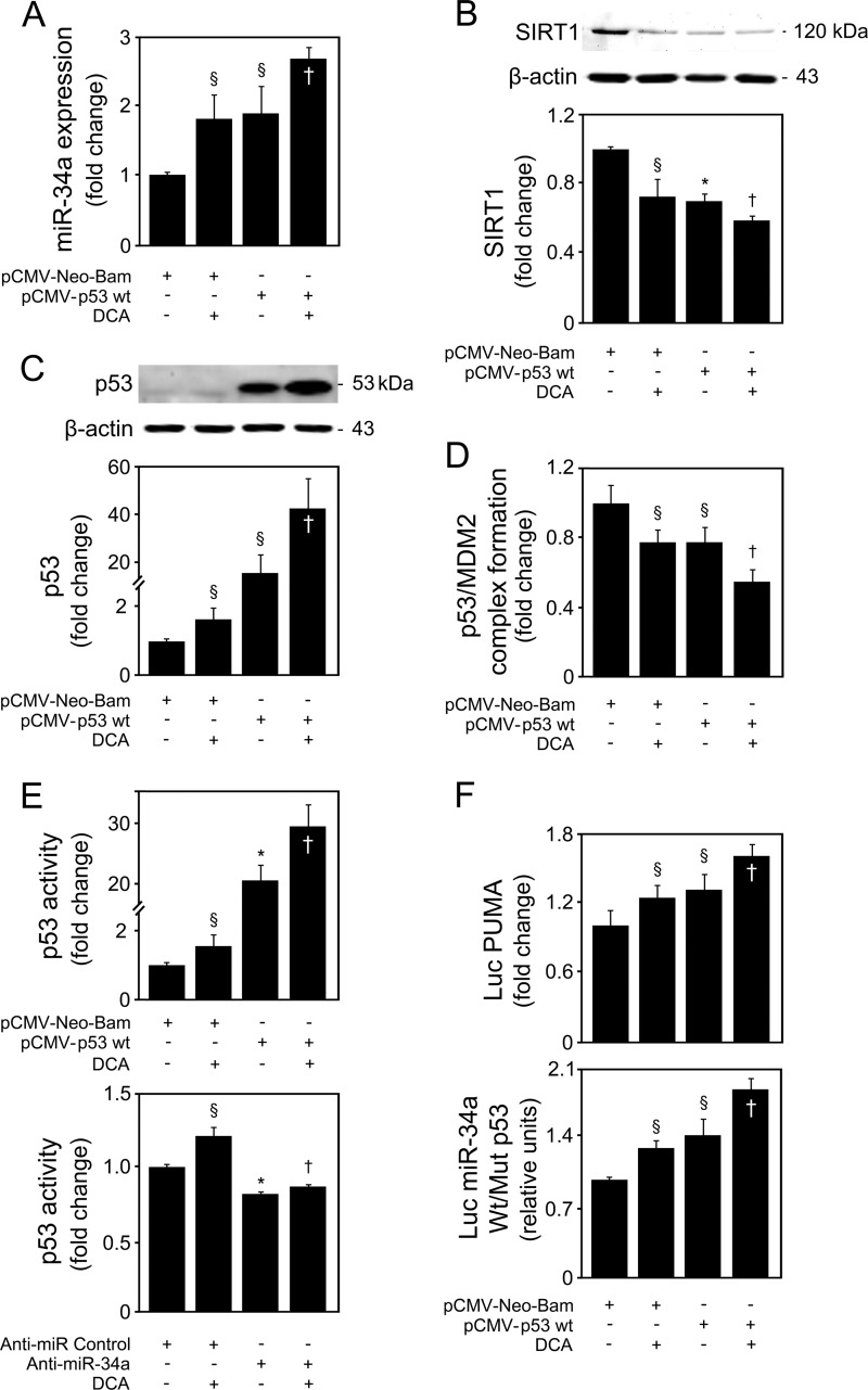 FIG 8