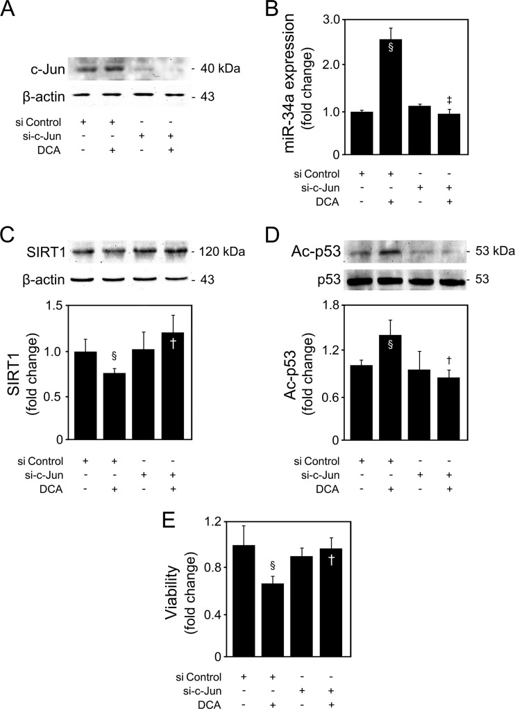 FIG 13