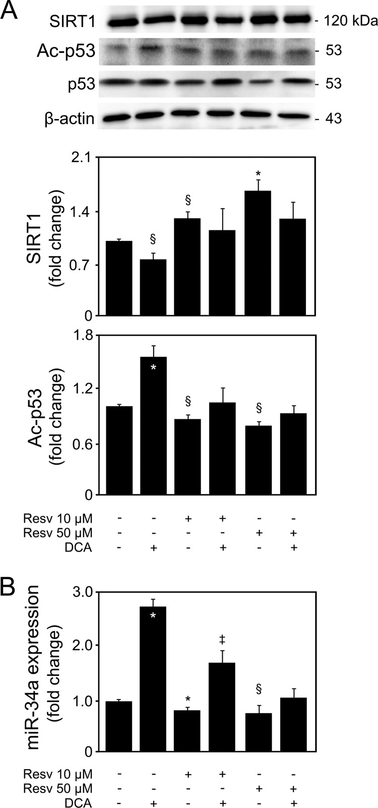 FIG 7