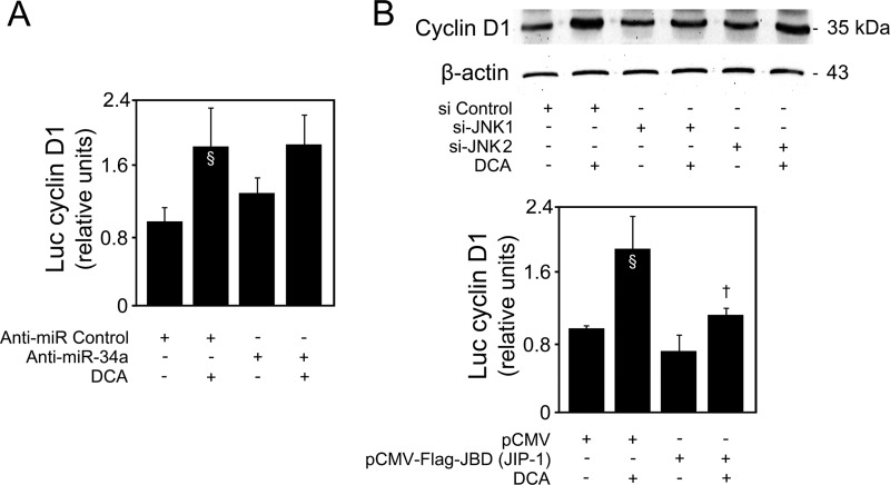 FIG 10