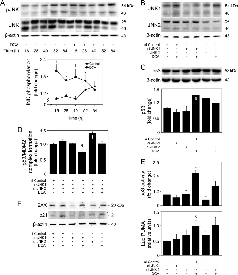 FIG 9