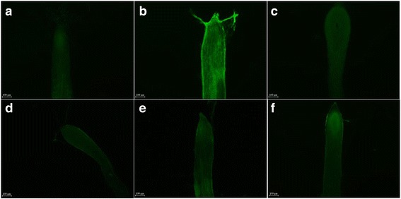 Fig. 9