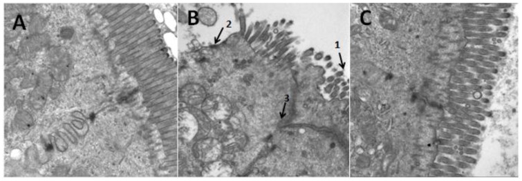 Figure 9