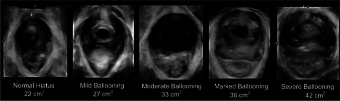 Fig. 8