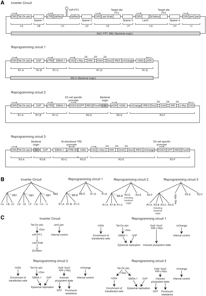 Figure 6.