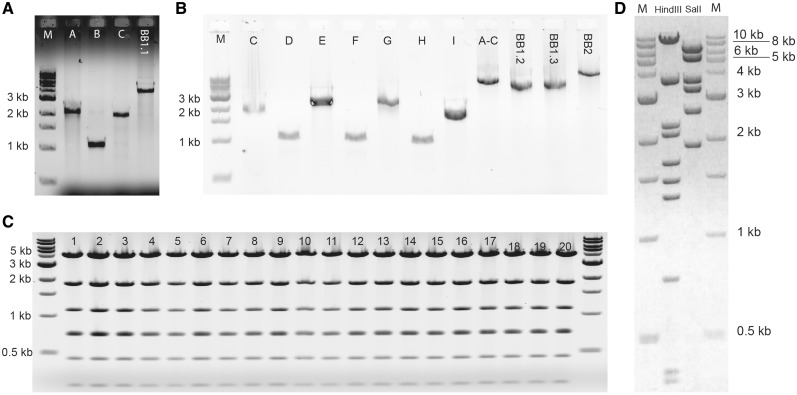 Figure 7.