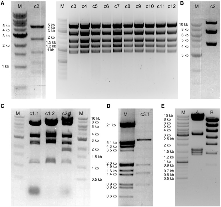 Figure 10.