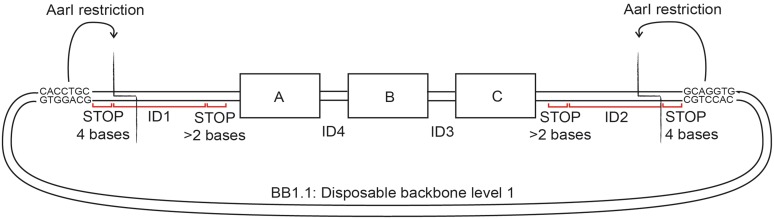 Figure 5.