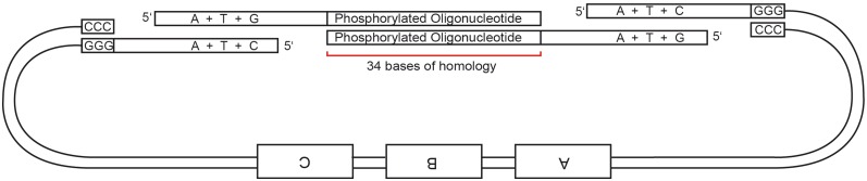 Figure 9.