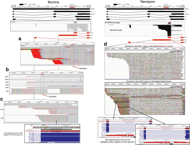 Fig. 2