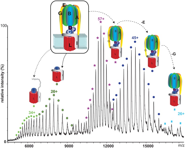 Figure 3.