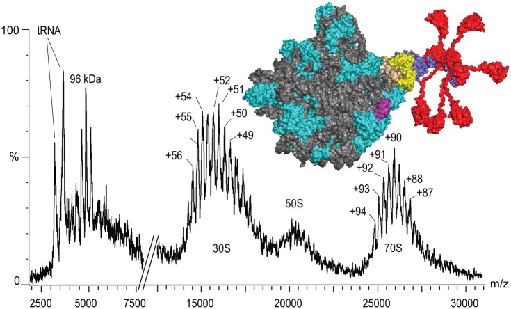 Figure 2.