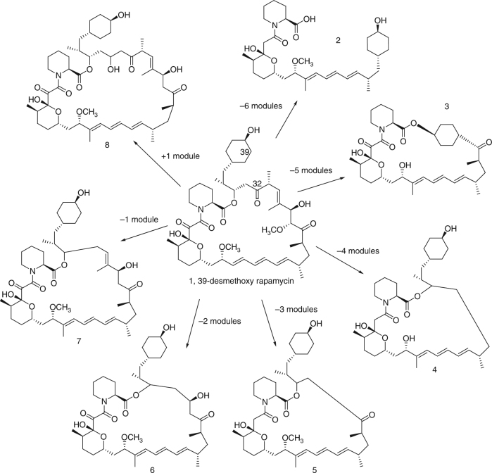 Fig. 2