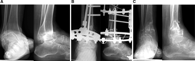 Fig. 7