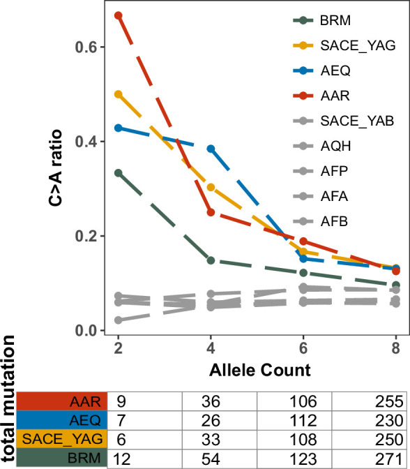 Figure 5—figure supplement 2.