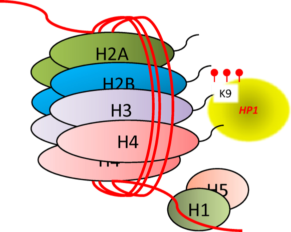 Fig. 2