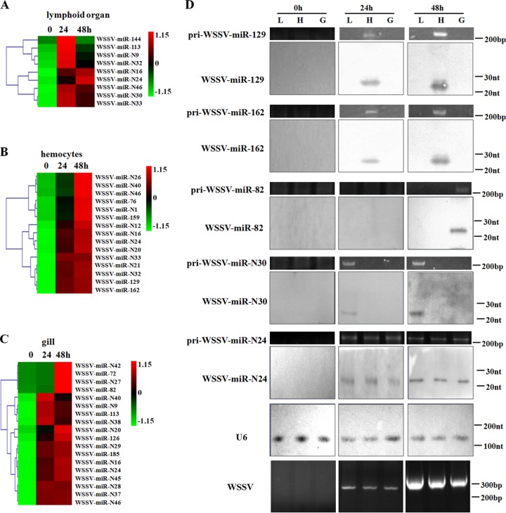 FIG 2