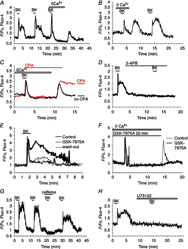 Figure 9