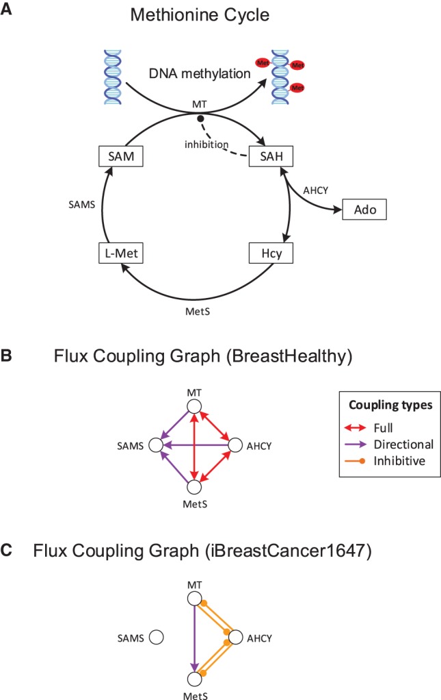 Figure 5.