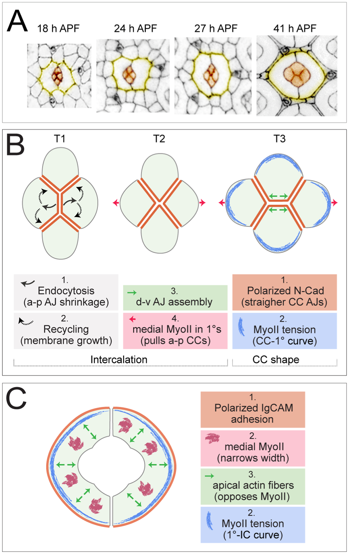 Figure 4: