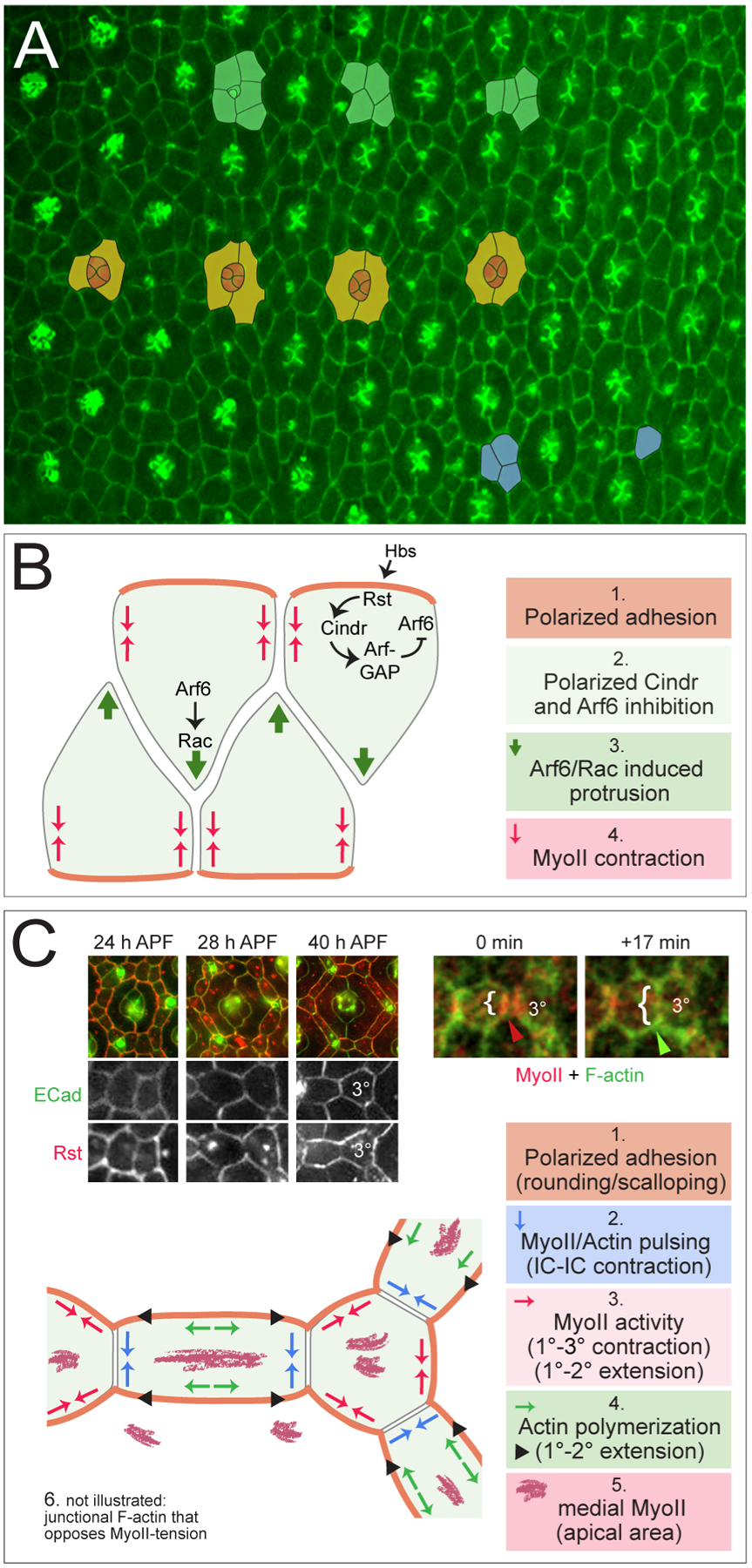 Figure 3: