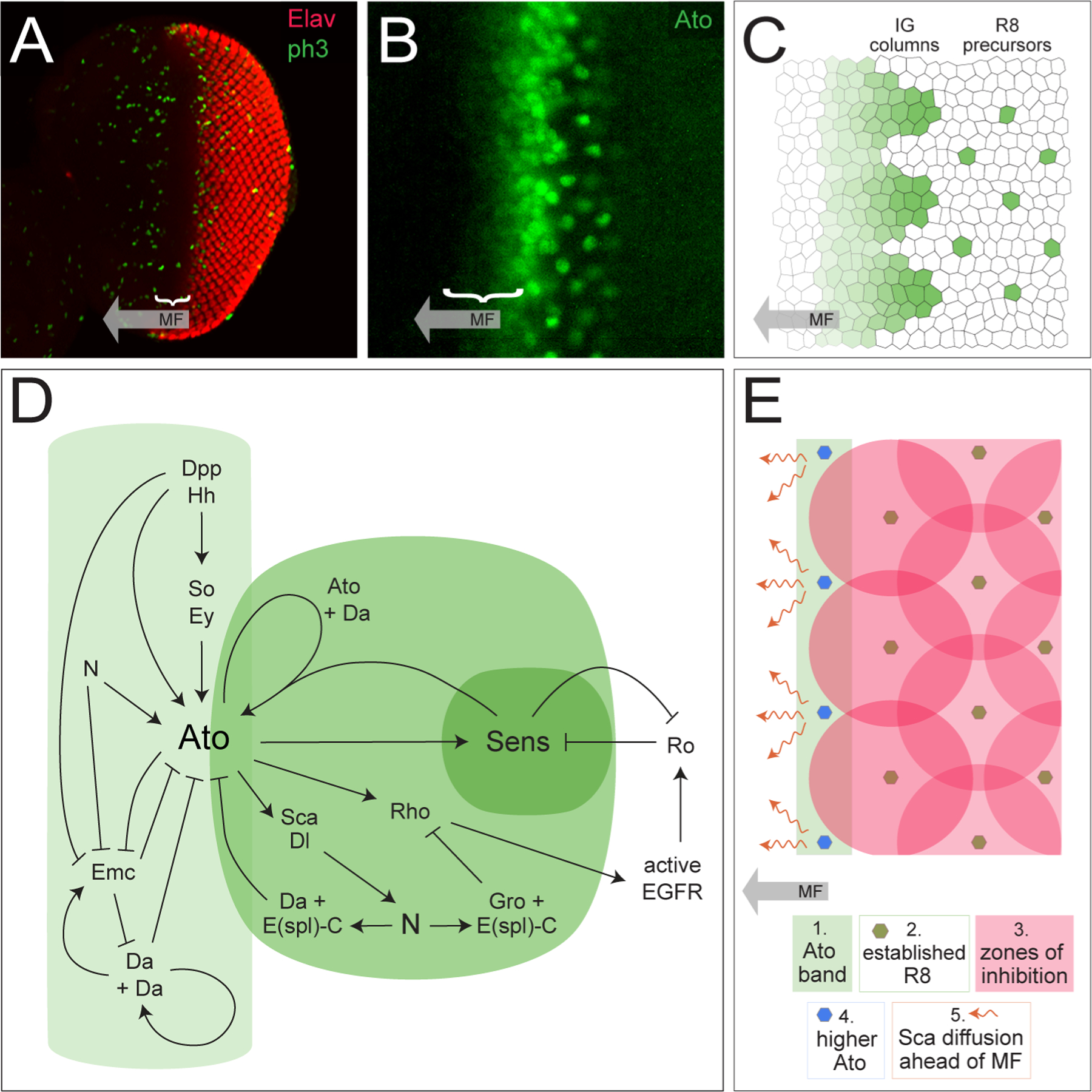 Figure 2: