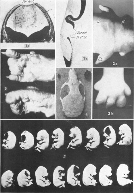 Fig. 1-5