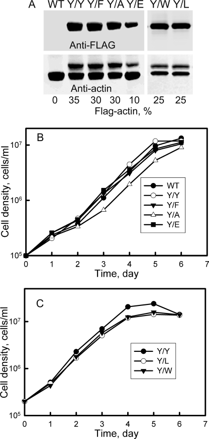 FIGURE 10.