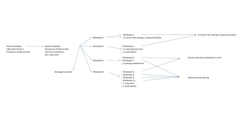 Figure 3 - tracing of Lollo Bionda_f